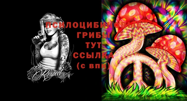 мяу мяу мука Ачинск